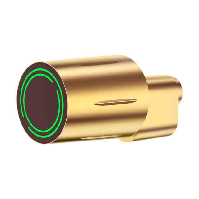 Elektronisk oval cylinder - GUARD - Messing