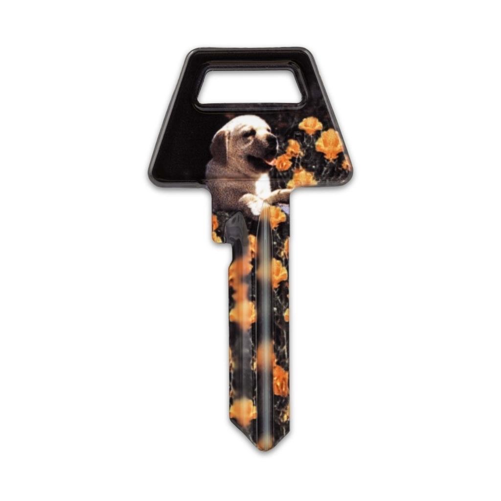 Nøgleemne - 6-stift - Hund-motiv